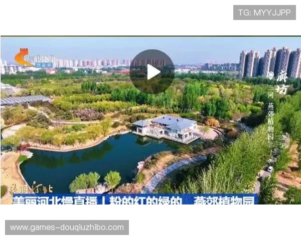 dqiu斗球直播平台排行榜2024年最值得信赖的直播网站