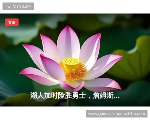 苹果用户必看斗球直播app下载详细步骤及安装教程全攻略